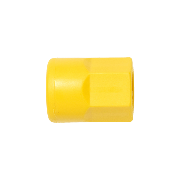 46431 – 1/4寸 耐酸 Socket to 1/8寸 FNPT – 20只装